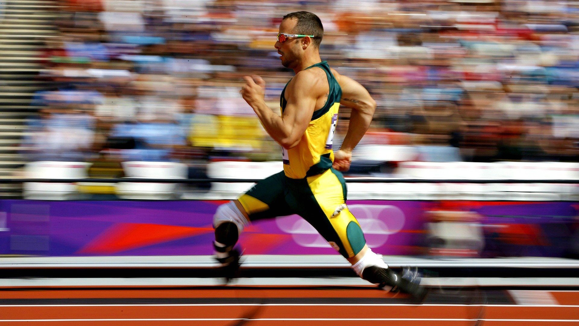 德国马术协会与国际马术联合会合作,举办国际马术交流活动,促进技术交流。